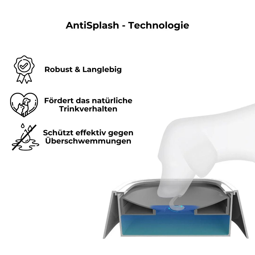 SchnüffelKiste - AntiSplash Trinknapf