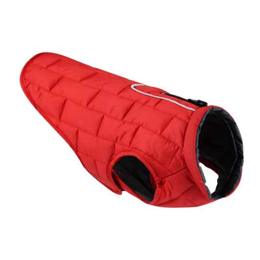 SchnüffelKiste - LumoVest Hundeweste