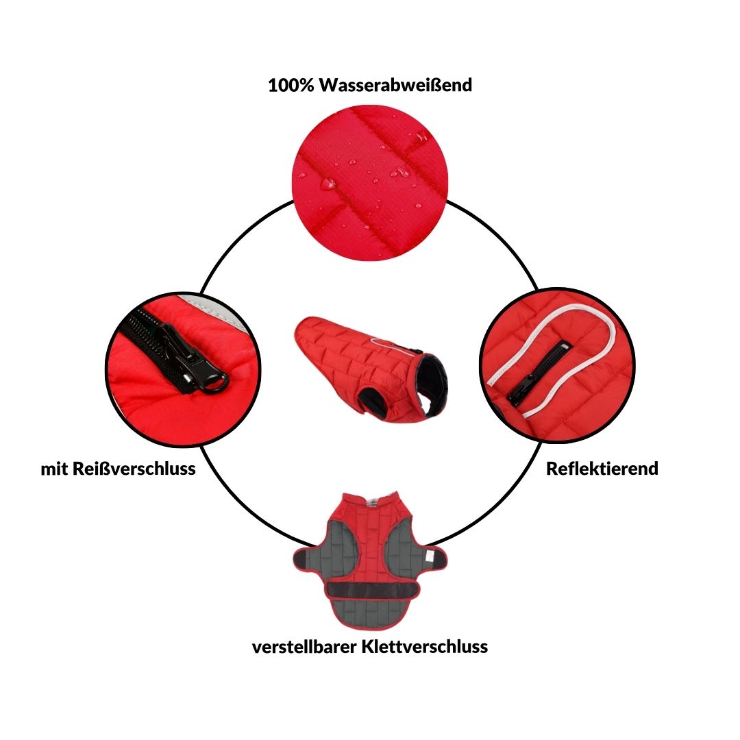 SchnüffelKiste - LumoVest Hundeweste