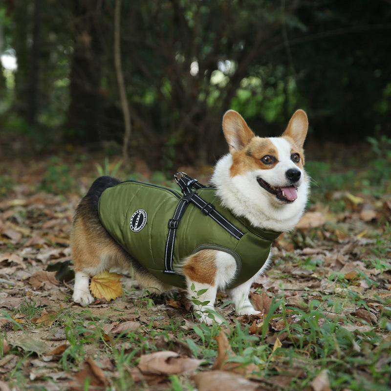 SchnüffelKiste - FrostGuard Hundejacke