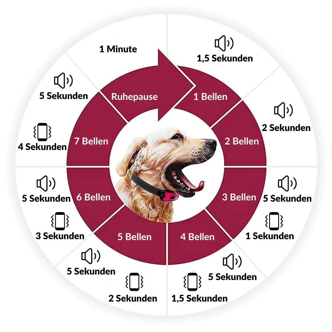 SchnüffelKiste - SilentPaw Anti-Bell-Halsband